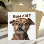 Funny Dog Birthday Card How Old Hilarious Card For Friend Family