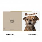 Funny Dog Birthday Card How Old Hilarious Card For Friend Family