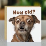 Funny Dog Birthday Card How Old Hilarious Card For Friend Family
