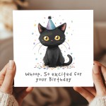 Funny Cat Birthday Card For Men and Women, Cat Lover Card Funny Cat Birthday Card For Men and Women, Cat Lover Card