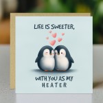 Anniversary Card For Wife Girlfriend Funny Birthday Card