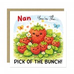 Mothers Day Card for Nan Humorous Birthday Card For Nan Novelty 