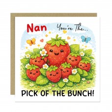 Mothers Day Card for Nan Humorous Birthday Card For Nan Novelty 