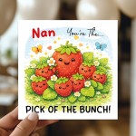 Mothers Day Card for Nan Humorous Birthday Card For Nan Novelty 