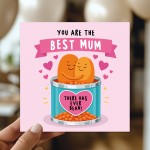 Cute Mothers Day Card BEST MUM THERE HAS EVER BEAN Funny Card 
