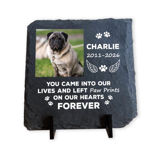 Personalised Pet Memorial Plaque with Photo Dog Cat Memorial