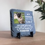 Personalised Pet Memorial Plaque with Photo Dog Cat Memorial