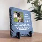 Personalised Pet Memorial Plaque with Photo Dog Cat Memorial