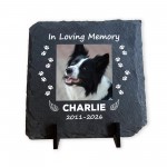 Personalised Pet Memorial Plaque Dog Memorial Gifts Cat & Dog