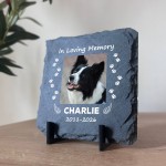 Personalised Pet Memorial Plaque Dog Memorial Gifts Cat & Dog