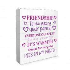 Funny Friendship Gift For Best Friend Novelty Birthday Gift 