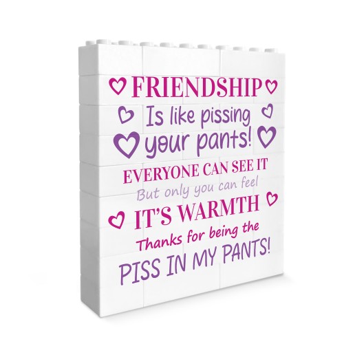 Funny Friendship Gift For Best Friend Novelty Birthday Gift 