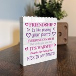 Funny Friendship Gift For Best Friend Novelty Birthday Gift 