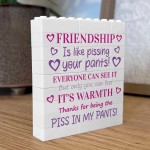Funny Friendship Gift For Best Friend Novelty Birthday Gift 