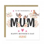 Cute Mothers Day Card, To My Wonderful Mum Card, Cards For Mothe