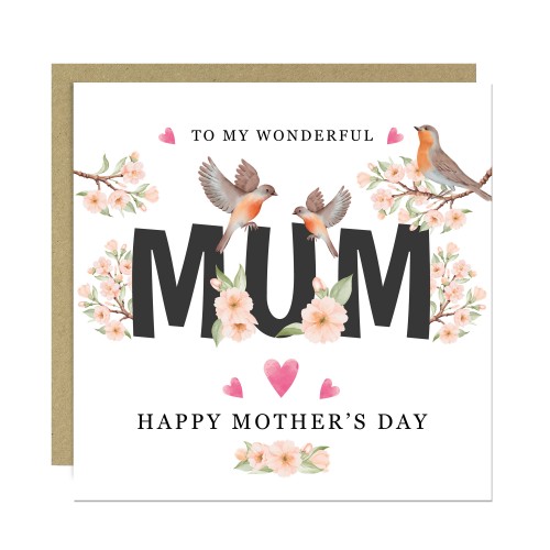 Cute Mothers Day Card, To My Wonderful Mum Card, Cards For Mothe