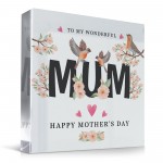 Happy Mothers Day Gift With Robin Beautiful Gift For Mum