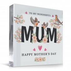 Happy Mothers Day Gift With Robin Beautiful Gift For Mum