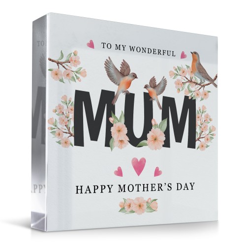 Happy Mothers Day Gift With Robin Beautiful Gift For Mum