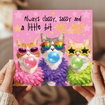 Funny Women Birthday Cards Sassy Cat Card For Best Friend BFF
