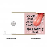 Funny Mothers Day Card From The Dog Amusing Mothers Day Dog Mum