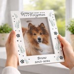 Personalised Dog Memorial Photo Frame 7x5 Never Forgotten