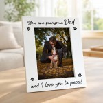 You Are Pawesome Dad Photo Frame Gift From Dog Dad Birthday