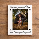 You Are Pawesome Dad Photo Frame Gift From Dog Dad Birthday