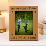 You Are Pawesome Mum Photo Frame Gift From Dog Mum Birthday Gift