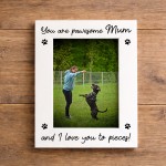 Mum Gift From Dog Mum Birthday Mothers Day Christmas Gift