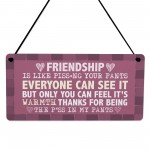 Best Friend Gift Friendship Gifts for Women Funny Friend Plaque