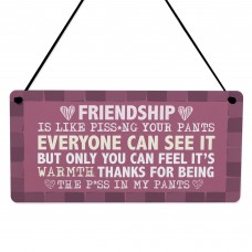 Best Friend Gift Friendship Gifts for Women Funny Friend Plaque