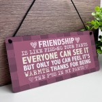 Best Friend Gift Friendship Gifts for Women Funny Friend Plaque