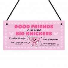 Funny Best Friend Gifts Friendship Gifts for Women Joke