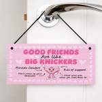 Funny Best Friend Gifts Friendship Gifts for Women Joke