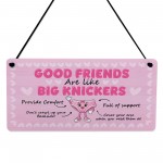 Funny Best Friend Gift Friendship Gifts Hanging Acrylic Plaque