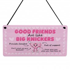 Funny Best Friend Gift Friendship Gifts Hanging Acrylic Plaque
