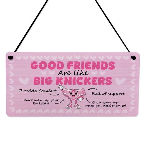 Funny Best Friend Gift Friendship Gifts Hanging Acrylic Plaque