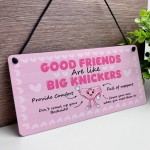 Funny Best Friend Gift Friendship Gifts Hanging Acrylic Plaque