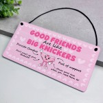 Funny Best Friend Gift Friendship Gifts Hanging Acrylic Plaque