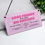 Funny Best Friend Gift Friendship Gifts Hanging Acrylic Plaque