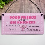 Funny Best Friend Gift Friendship Gifts Hanging Acrylic Plaque