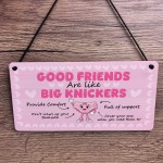 Funny Best Friend Gift Friendship Gifts Hanging Acrylic Plaque