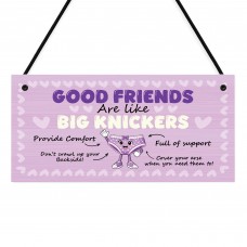 Hilarious Best Friend Gift Friendship Gifts Hanging Plaque Funny