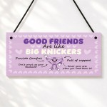 Hilarious Best Friend Gift Friendship Gifts Hanging Plaque Funny