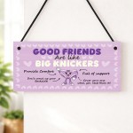 Hilarious Best Friend Gift Friendship Gifts Hanging Plaque Funny