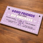 Hilarious Best Friend Gift Friendship Gifts Hanging Plaque Funny
