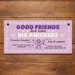 Hilarious Best Friend Gift Friendship Gifts Hanging Plaque Funny