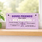 Hilarious Best Friend Gift Friendship Gifts Hanging Plaque Funny
