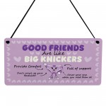 Funny Best Friend Gift for Women Friendship Gifts Acrylic Plaque